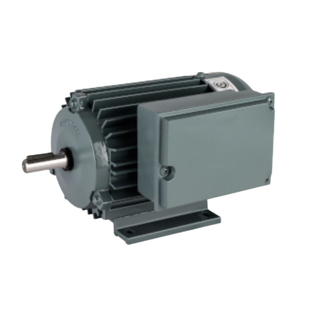 Motor monofásico BLINDADO BAJO PAR DE ARRANQUE 6 POLOS A80CP 6B 0,25KW 0,33CV