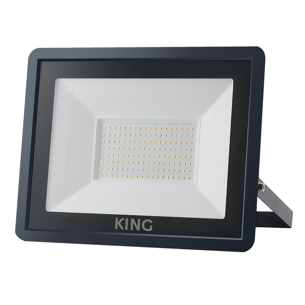 REFLECTOR LED KING 100W AC200-260V FP 0.9 800LM FRIO 6500K