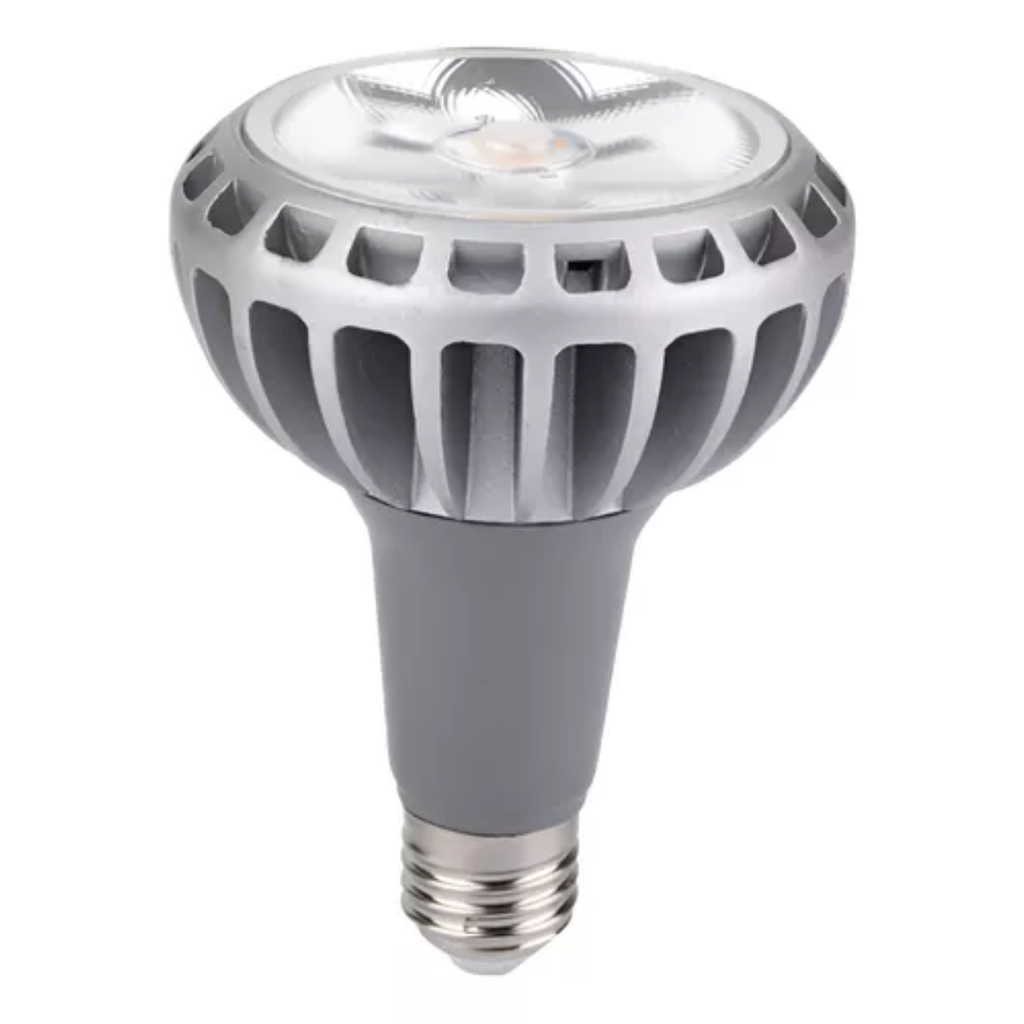 Dis-LAMPARA MASTER LED 30W LUZ CALIDA
