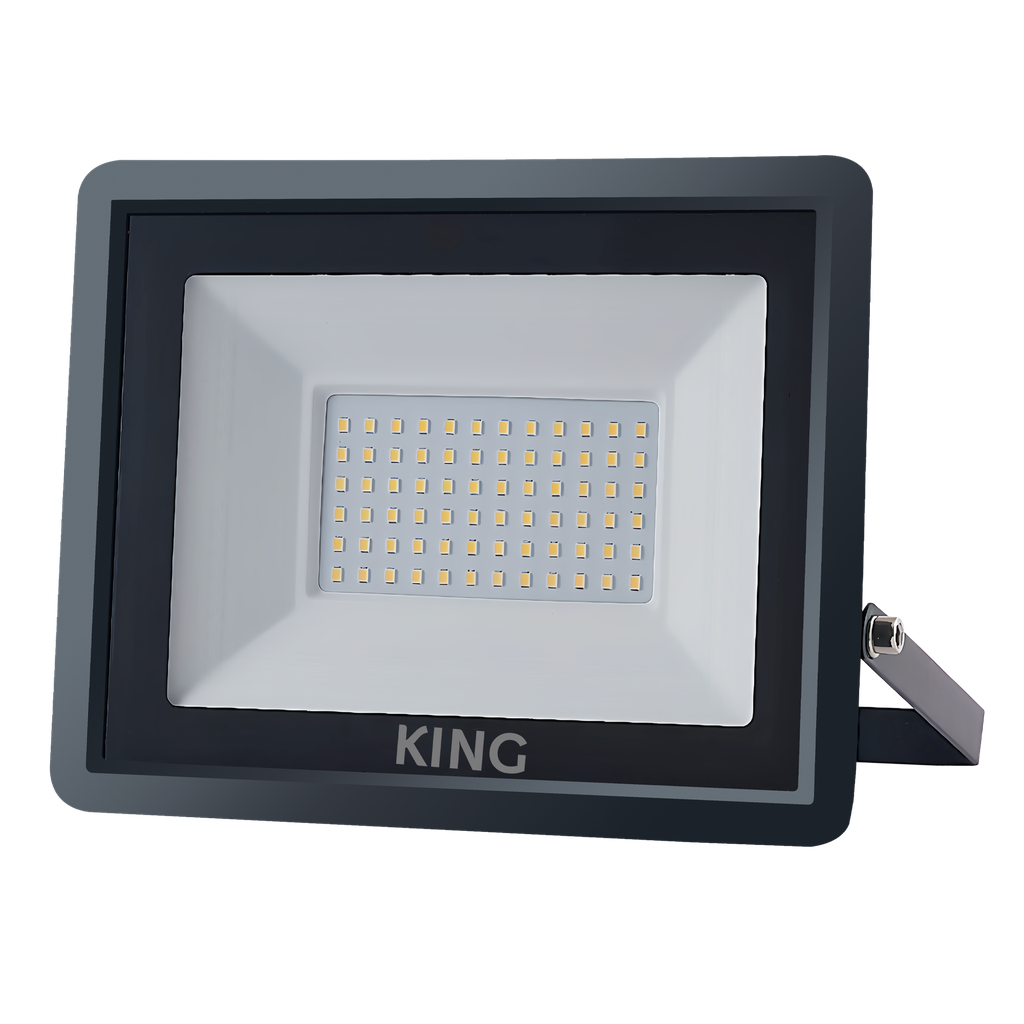 REFLECTOR LED KING 70W AC220-240V FRIO 6500K