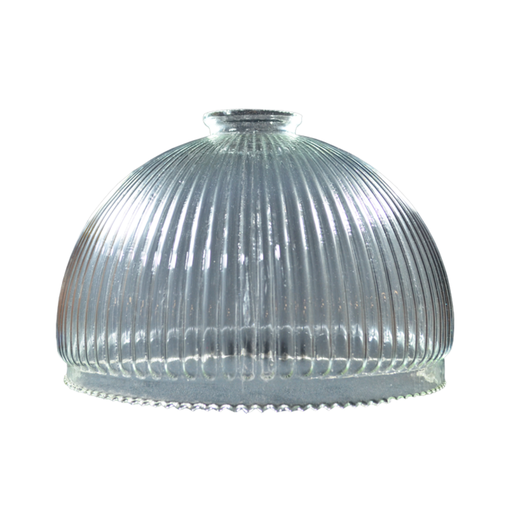 [LPA4216] CANELA 20 V/C